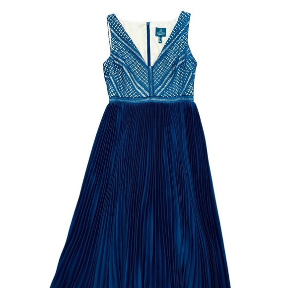 Adrianna Papell Eyelet Lace Pleated High/Low Evening Maxi Floor Length Dress, 6 - Picture 7 of 14